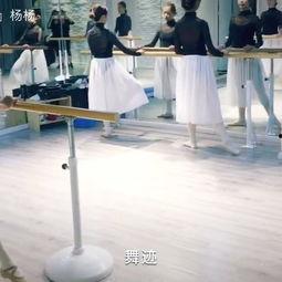 成人塑形训练课堂视频,跟随视频打造完美身材